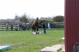 LR-WRF 0402026 Retreat-3369